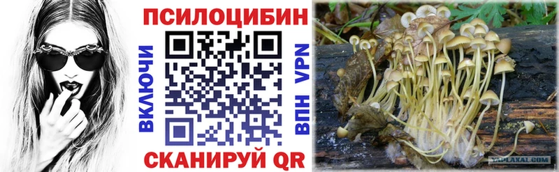 Псилоцибиновые грибы мицелий  наркошоп  Приволжский 